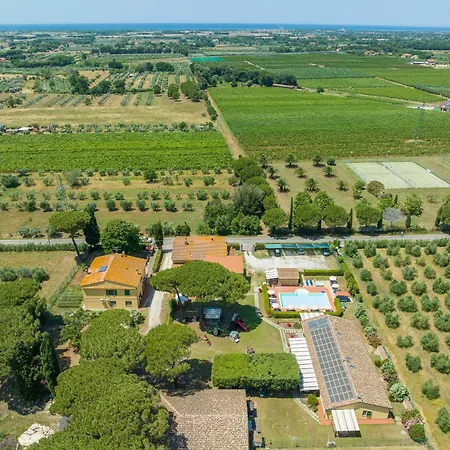 Il Pino - Tiglio